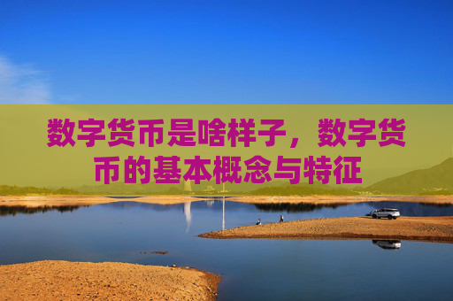 数字货币是啥样子,数字货币的基本概念与特征