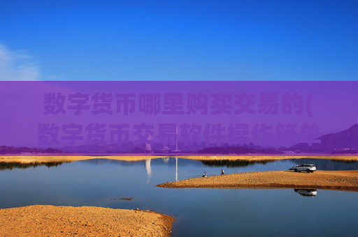 数字货币哪里购买交易的(数字货币交易软件操作简单)