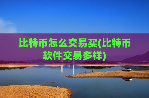 比特币怎么交易买(比特币软件交易多样)