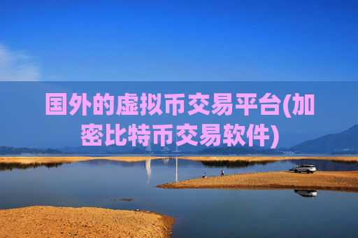 国外的虚拟币交易平台(加密比特币交易软件)