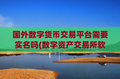 国外数字货币交易平台需要实名吗(数字资产交易所软件对比)