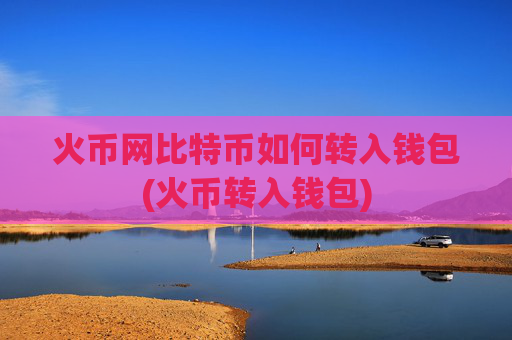 火币网比特币如何转入钱包(火币转入钱包)