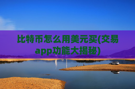 比特币怎么用美元买(交易app功能大揭秘)