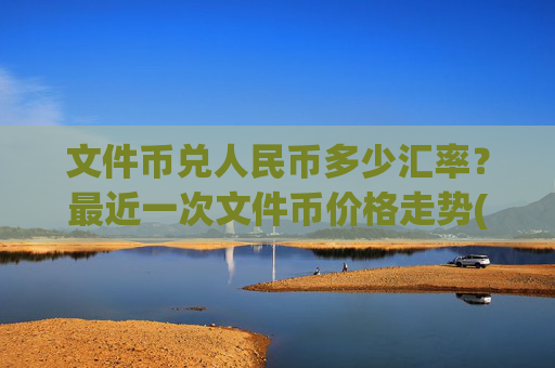 文件币兑人民币多少汇率？最近一次文件币价格走势(现价56.1552元)
