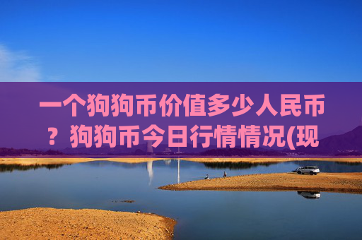 一个狗狗币价值多少人民币?狗狗币今日行情情况(现价3.0697元)
