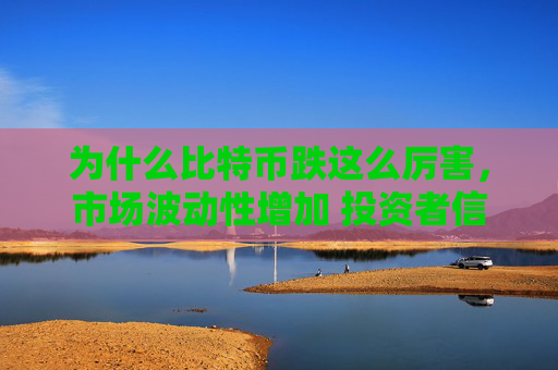 为什么比特币跌这么厉害,市场波动性增加 投资者信心下降