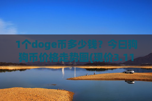 1个doge币多少钱？今曰狗狗币价格走势图(现价3.1129元)