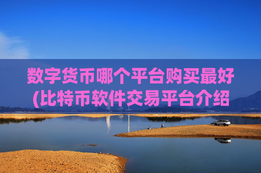 数字货币哪个平台购买最好(比特币软件交易平台介绍)