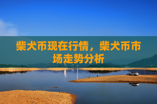 柴犬币现在行情,柴犬币市场走势分析