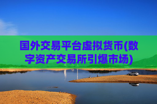 国外交易平台虚拟货币(数字资产交易所引爆市场)