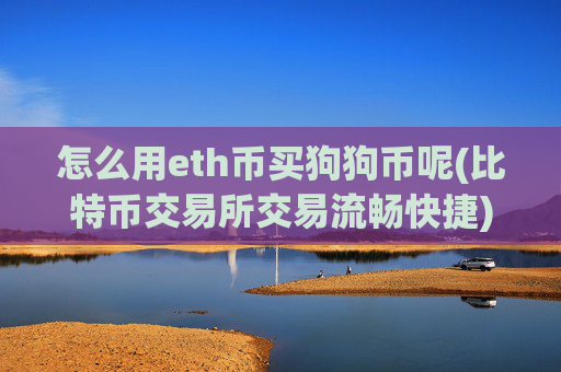 怎么用eth币买狗狗币呢(比特币交易所交易流畅快捷)