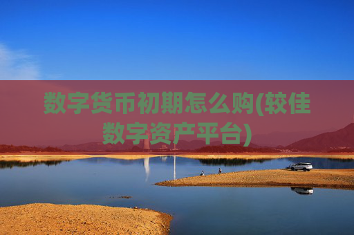 数字货币初期怎么购(较佳数字资产平台)