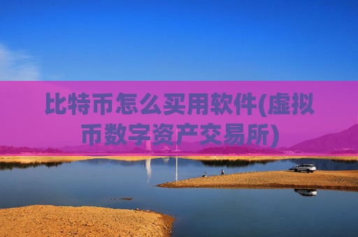 比特币怎么买用软件(虚拟币数字资产交易所)