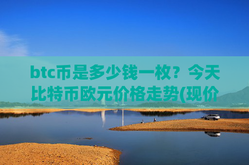btc币是多少钱一枚?今天比特币欧元价格走势(现价712422.09元)