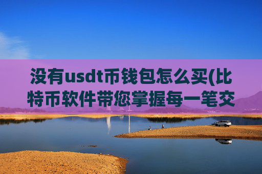 没有usdt币钱包怎么买(比特币软件带您掌握每一笔交易)