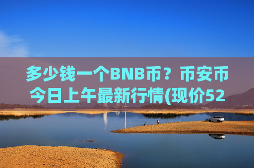 多少钱一个BNB币?币安币今日上午最新行情(现价5292.41元)