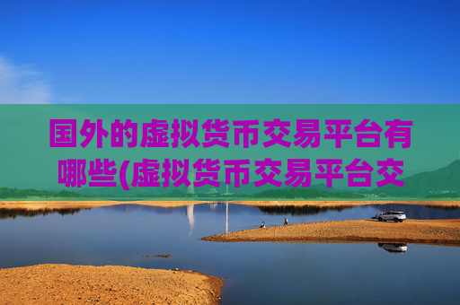 国外的虚拟货币交易平台有哪些(虚拟货币交易平台交易便捷快速)