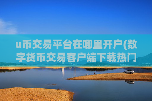u币交易平台在哪里开户(数字货币交易客户端下载热门)