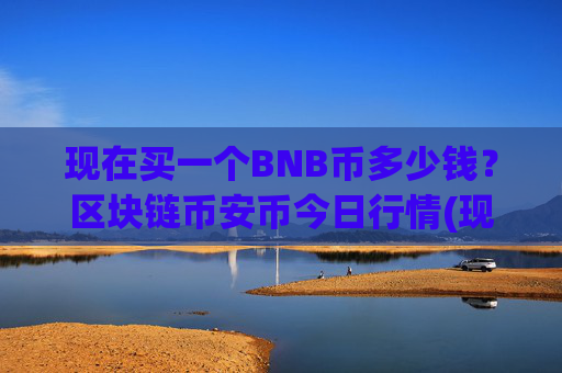 现在买一个BNB币多少钱？区块链币安币今日行情(现价5085.45元)