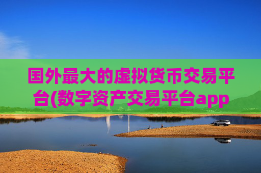国外最大的虚拟货币交易平台(数字资产交易平台app知识大全)