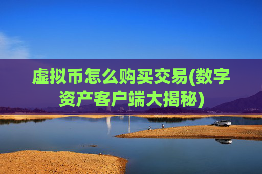 虚拟币怎么购买交易(数字资产客户端大揭秘)