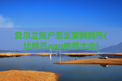 爱尔兰账户怎么买狗狗币(比特币app推荐大全)