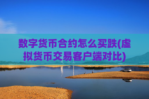 数字货币合约怎么买跌(虚拟货币交易客户端对比)