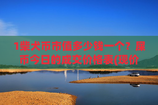 1柴犬币市值多少钱一个?屎币今日的成交价格表(现价0.00016106元)