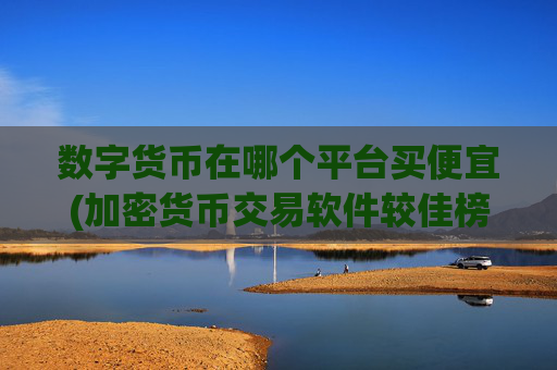 数字货币在哪个平台买便宜(加密货币交易软件较佳榜单)