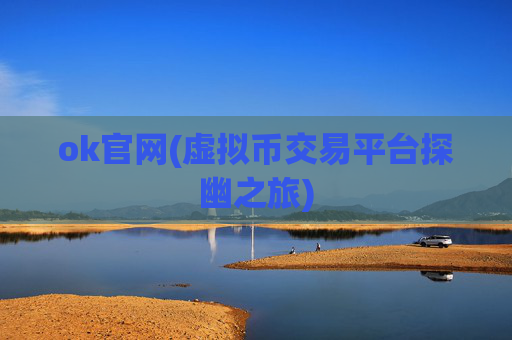 ok官网(虚拟币交易平台探幽之旅)