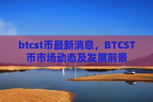 btcst币最新消息,BTCST币市场动态及发展前景