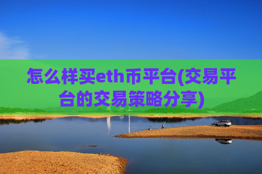 怎么样买eth币平台(交易平台的交易策略分享)