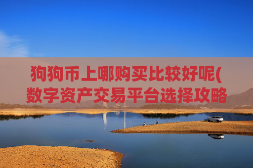 狗狗币上哪购买比较好呢(数字资产交易平台选择攻略)