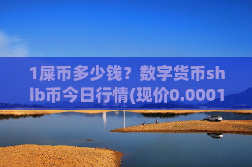 1屎币多少钱?数字货币shib币今日行情(现价0.00016004元)