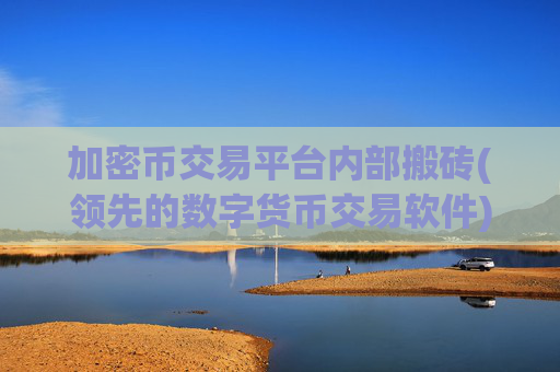 加密币交易平台内部搬砖(领先的数字货币交易软件)