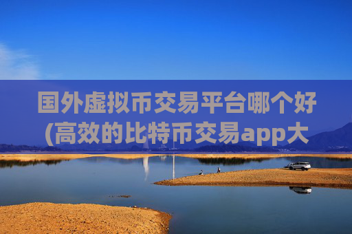 国外虚拟币交易平台哪个好(高效的比特币交易app大揭秘)