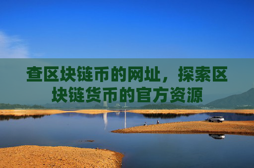 查区块链币的网址,探索区块链货币的官方资源