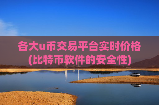 各大u币交易平台实时价格(比特币软件的安全性)