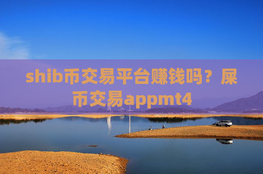 shib币交易平台赚钱吗？屎币交易appmt4