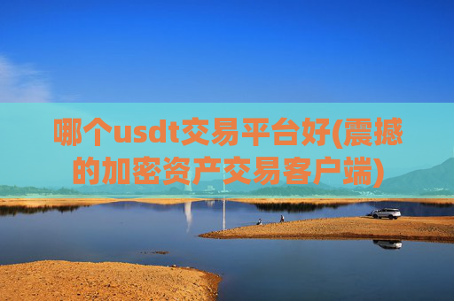 哪个usdt交易平台好(震撼的加密资产交易客户端)