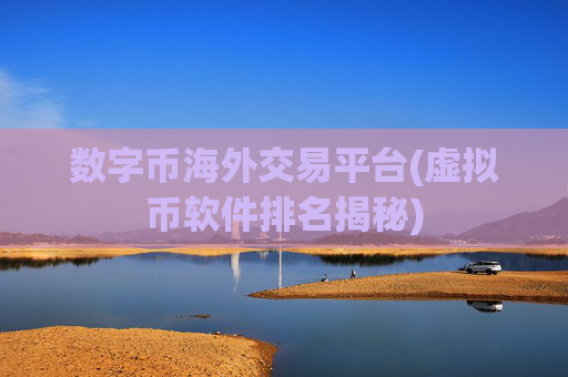 数字币海外交易平台(虚拟币软件排名揭秘)
