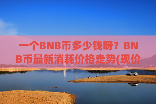 一个BNB币多少钱呀?BNB币最新消耗价格走势(现价5295.1元)