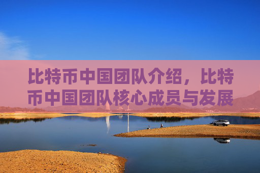 比特币中国团队介绍，比特币中国团队核心成员与发展历程