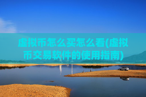 虚拟币怎么买怎么看(虚拟币交易软件的使用指南)