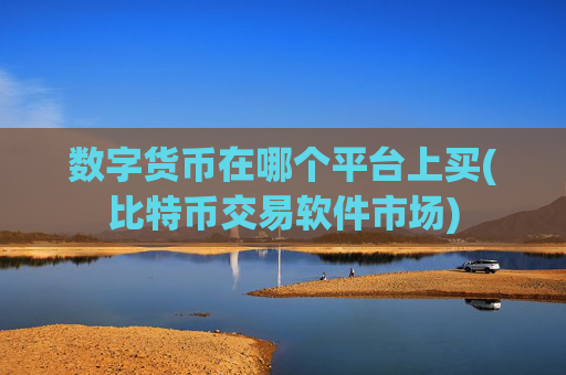 数字货币在哪个平台上买(比特币交易软件市场)