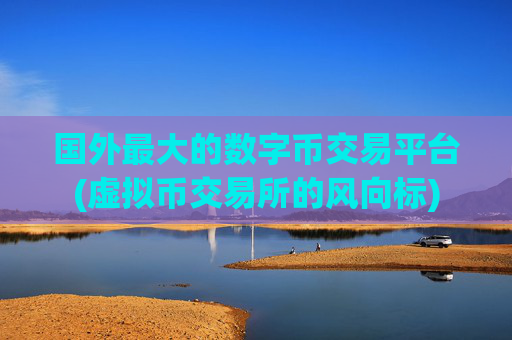 国外最大的数字币交易平台(虚拟币交易所的风向标)