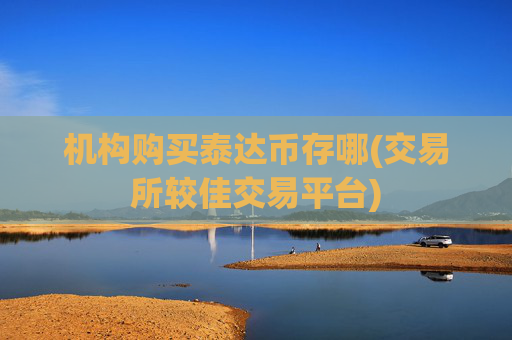 机构购买泰达币存哪(交易所较佳交易平台)