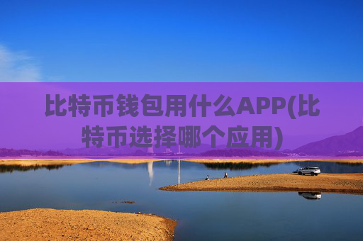 比特币钱包用什么APP(比特币选择哪个应用)