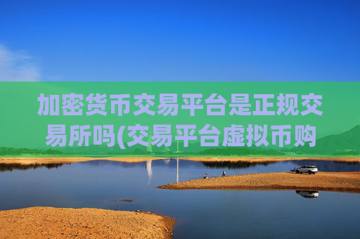 加密货币交易平台是正规交易所吗(交易平台虚拟币购买)