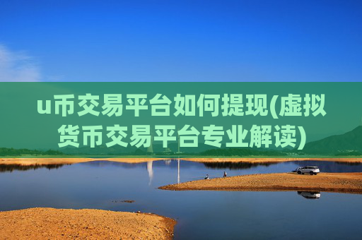 u币交易平台如何提现(虚拟货币交易平台专业解读)